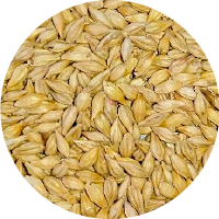もち性大麦